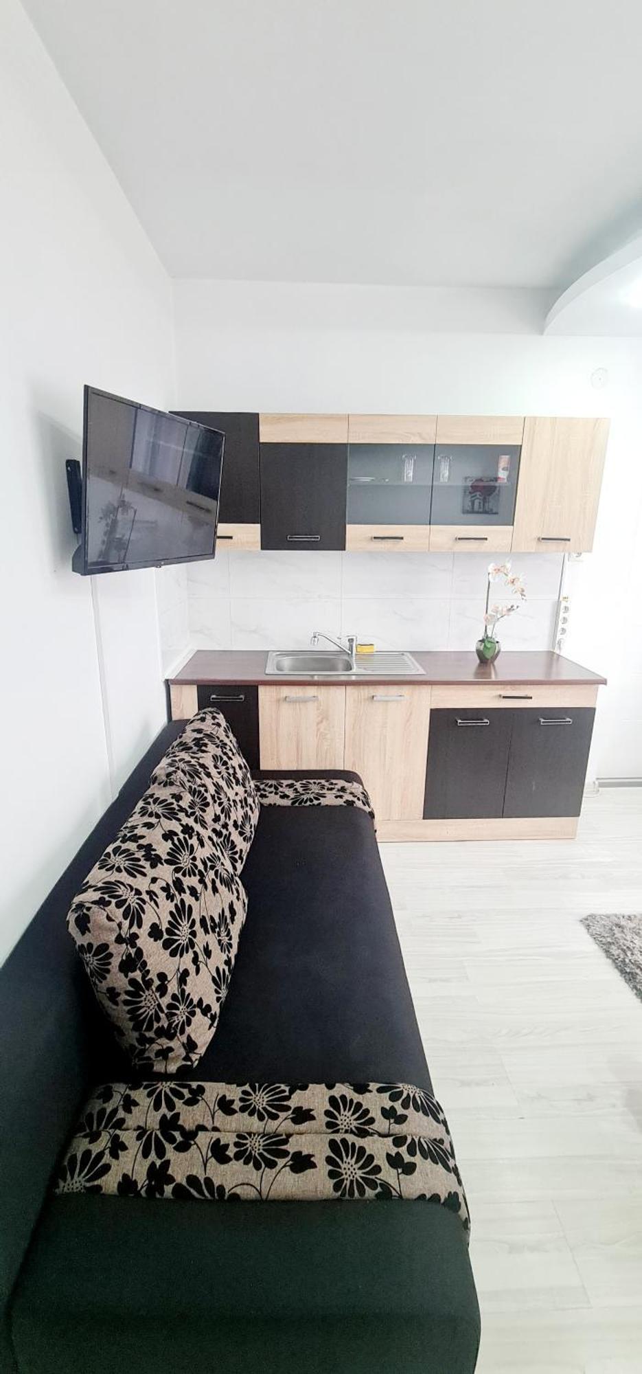 Pensiunea Red Rose Apartments Timisoara Exterior photo