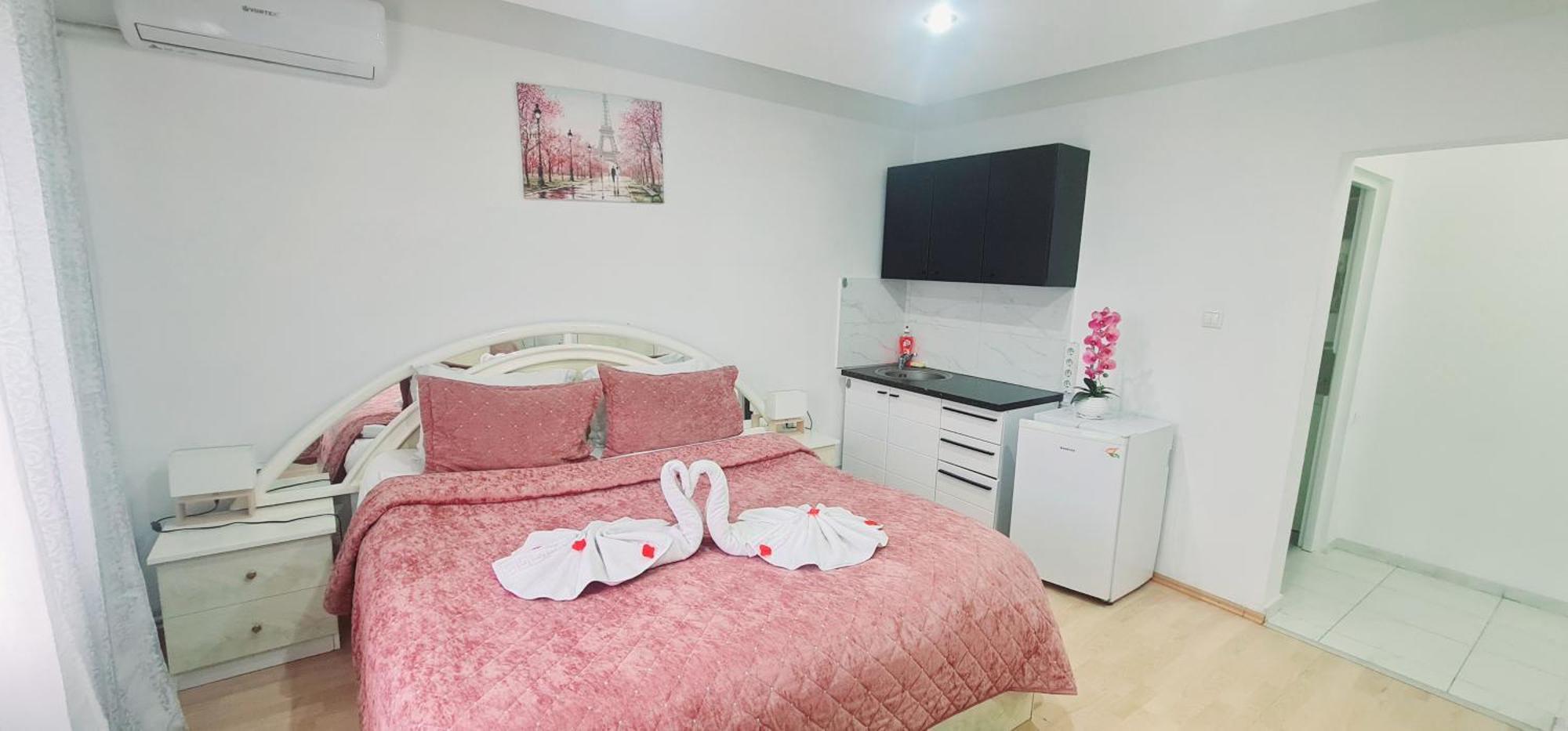 Pensiunea Red Rose Apartments Timisoara Exterior photo